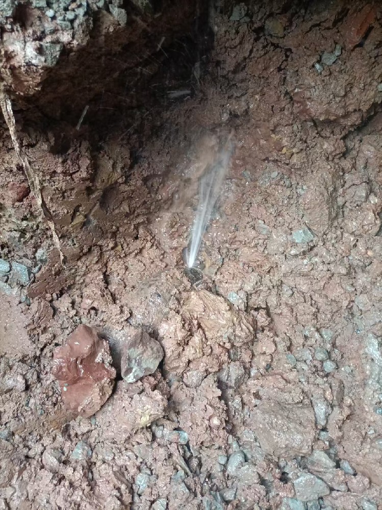 定南县本地服务：自来水管漏水检测维修